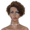Rebecca Fashion Ombre Brown Curly Pixie Cut Lace Front Wigs Human Hair Water Wave Short Pixie Cut Wig Side Part 13x5.5x0.5 HD Lace Pixie Cut Lace Front Wigs Human Hair