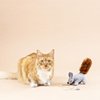 Fringe Studio "ONE TUFF NUT Teaser Cat Toy, PetShop Collection (717001)