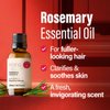 H’ana Rosemary Oil for Hair Scalp - 100% Natural Rosemary Essential Oils for Skin, Diffuser & Aromatherapy - Rosemary Hair Oil for Hair - 1 fl oz