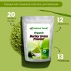 Organic Barley Grass Powder, Antioxidant-Rich, Energy Booster Organic Grass Powder, 100% Natural Superfood, Vegan, Gluten Free, Non-GMO, Kosher, 1 Lb