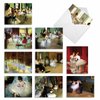 The Best Card Company - 10 Thank You Assortment Note Cards w/Envelopes, Assorted Set of Thank You Cards4 x 5.12 inch - Notes Tutu You M9684TYG
