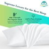 Travel Pillow Case 12x16 Size Set of 2 Envelope Closure Toddler Pillowcase 600 Thread Count 100% Soft Egyptian Cotton Travel Pillow Covers 12 x 16, White Solid