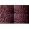 DaVinci Hair Color 4R - Red Brown (3.4 oz.)