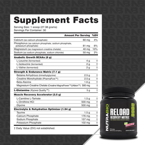 NutraBio Reload - Powerful Muscular Recovery Formula - Post-Workout Supplement - 3G Creatine - 8G BCAAs - 5G Glutamine - 30 Servings, Kiwi Strawberry