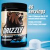 Grizzly Pre Workout Powder for Men & Women - Essential Aminos L-Citrulline & Beta Alanine Plus Caffeine - Preworkout Energy Drink Mix for Intense Power Focus & Pump - Arctic Ice - 40 Servings