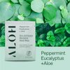 ALŌH Skin - Softening Sanitizing Hand Wipes - Peppermint Eucalyptus + Aloe (1 Box of 20 Individual Wrapped Wipes)