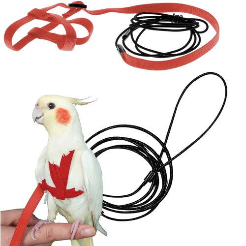 CIEOVO Bird Harness, Adjustable Parrot Nylon Leash with Anti-bite Design for Outdoor Activities Training, Suitable for Eastern Bluebonnet Parrot, Cockatoo, Parakeet, Doves 6.2ft (S)