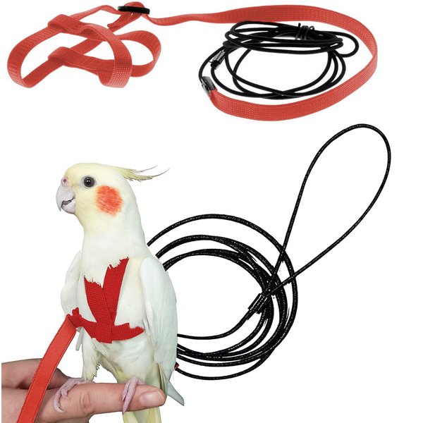 CIEOVO Bird Harness, Adjustable Parrot Nylon Leash with Anti-bite Design for Outdoor Activities Training, Suitable for Eastern Bluebonnet Parrot, Cockatoo, Parakeet, Doves 6.2ft (S)