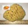 Awesome Aquatics Natural Sea Sponge 5-6" Amazing Natural Renewable Resource"Creating The in Home Perfect Bath and Shower Experience" Artist Sponge