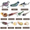 RCOMG 11PCS Prehistoric Sea Creatures Toys, Ancient Cambrian Ocean Animal Figurines Plastic Educational Marine Animal Figures for Cake Topper, School Project, Learning Toy