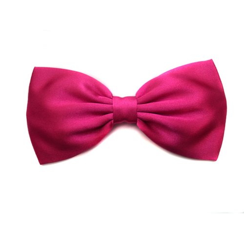 Satin Solid Color Hair Bow Collection (Hot Pink, Barrette)