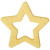 C.R. Gibson 100% Food Grade Silicone Star Baby Teether for Infants, 2.75" x 4.25", Multicolor