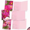 The Best Card Company - 10 Blank Note Cards with Flowers (4 x 5.12 Inch) - Floral Notecards, All Occasion Boxed Assortment - Cosmos-Politan M6029