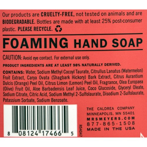Mrs. Meyers Clean Day Liquid Hand Soap Liquid 10 Fl Oz, Pack of 6