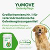 YuMOVE Hip and Joint Supplement for Dogs with Glucosamine,Chondroitin, MSM, Omega 3, Hyaluronic Acid, & Green Lipped Mussel - Joint Support Supplement - for Adult Dogs 300 Tablets