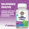KAL DinoDophilus Probiotics for Kids, Kids Probiotic with 2 Billion CFU, Chewable Kids Probiotics with Natural Black Cherry Flavor for Gut Health and Digestion Support, 60 Servings, 60 Chewables