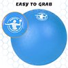 Homotte 4 Colors Playground Balls for Kids 3+ and Adults, 8.5 Inch Kick Balls, Four Square Dodge Balls Set for Outdoor Yard Lawn Beach Toy with Hand Pump