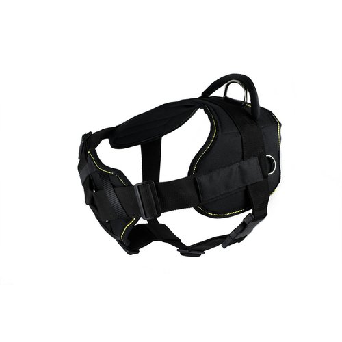 Dean & Tyler Black with Yellow Trim Fun Dog Harness with Padded Chest Piece, Do Not Feed, Small, Fits Girth Size 22-Inch to 27-Inch