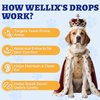 Wellix 120ml Yeast Infection Treatment for Dogs & Cats - Supports Itch,Allergy,Inflammation Relief & Immune Health - Natural Dog Ear Yeast Infection Treatment - Salmon Flavor