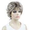 Aimole Synthetic Wigs Women's Curly Ends Short Fiber Wig With Layered Bangs(48T Light Gray with Dark Root)