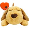 HonourHope Dog Heartbeat Toy for Anxiety Relief, Dog Soft Plush Toy Pet Calming Puppy Behavioral Training Aid Toy Pet Companion Pillow for Puppy Dog Cat Kitty Pets - Bear Box
