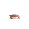 Schleich Wild Life New 2024 Wild Animal Toy Hawskbill Sea Turtle Ocean Animal Figurine
