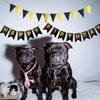 Black Happy Birthday Banner with Pennant Banner Flags, Black Gold Happy Birthday Sign, Black Birthday Party Decorations, Bunting Banner with Shiny Gold Letters, DIY Party Supplies (Black)