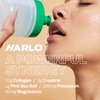 Harlo - Sample Pack Electrolyte Drink Mix with Added Bovine Collagen & Creatine - Creatine Monohydrate Powder - Energy Drink Powder - Sugar Free Energy Drinks