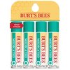 Burt's Bees Lip Balm Stocking Stuffers, Moisturizing Lip Care Christmas Gifts, for Dry Chapped Lips, Medicated with Menthol & Eucalyptus, Natural Origin Lip Care (4-Pack)