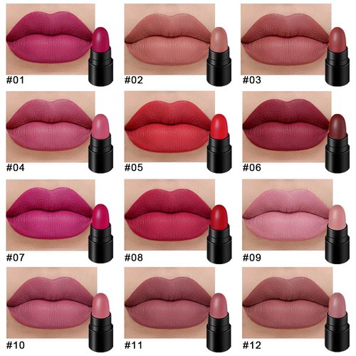 BINGBRUSH 12Pcs Mini Capsule Makeup Lipstick Set, Women Nude Brown Dark Red Matte Matt Lipsticks Cute Lip Stick Purse Set Labiales Matte Larga Duracion 24 (B-12 Pcs Mini Lipstick 01#, B)