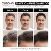 CHEONGDAM STYLE FOREST BLACK CHANGE SHAMPOO ULTRA BLACK
