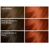 SoftSheen-Carson Dark and Lovely Fade Resist Rich Conditioning Hair Color, Permanent Hair Color, Up To 100 percent Gray Coverage, Brilliant Shine with Argan Oil and Vitamin E, Vivacious Red