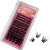 Manga Lash Clusters Wispy Natural Individual Lashes Volume C Curl Lash Clusters Spiky Fluffy DIY Eyelash Extension Clusters (8-16mm Mixed FD02)