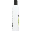 Shikai Natural Volumizing Shampoo to Add Fullness & Texture - 12 Ounces (Pack of 2)