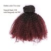 Loxxy Kinkys Clip In Hair Extensions 4A 4B Afro Kinky Clip In Virgin Natural Hair Clip In Extensions Ombre Afro Clip In Hair Extensions For Black Women Full Head Kinky Clip In #1b/99j AC 16 Inch