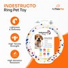 ReThink Pet Indestructo Ring Rubber Dog Toys, Abrasive Resistant Tough Dog Toys, Recyclable Indestructible Dog Toy, Durable & Elastic Rubber Chew Toys for Boredom