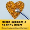 Nature Made Fish Oil Supplements 1000 mg Softgels, Omega 3 for Healthy Heart Support, 250 Softgels, 125 Day Supply