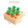 Montessori Toys for 1 Year Old, Wooden Toys Developmental Shape Sorting & Matching Puzzle Carrots Harvest Game, Birthday Gifts for Toddlers Babies Boys and Girls 6-12 Months Christmas