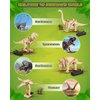 Poraxy Dinosaur Toys, 4 in 1 STEM Kits for Kids Age 8-10, Toys for Ages 8-13, Educational Science Building Projects, 3D Wooden Puzzles Robot Crafts, Gifts for Boys Girls 7 8 9 10 11 12 13 Year Old