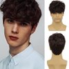Tseses Curly Brown Wigs for Men Short Natural Layered Hair with Bangs Fluffy Men Costume Synthetic Wigs