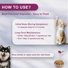 NUTRIARISE Natural UTI Treatment for Cats & Dogs – Antibiotic-Free Urinary Tract Infection Support Supplement – Bladder & Kidney Health – Incontinence Prevention – 30 Capsules