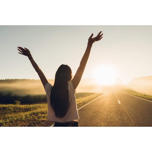 Cedar Bear Ashwagandha Root (Withania somnifera) a Nutritive Adaptogen Liquid Herbal Supplement Benefiting The Nervous System 2 Fl Oz