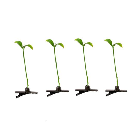 10pcs Bean Sprout Hair Clips Cute Grass Hair Clips Hairpiece Hair Accessories for Kids Girls Women School Home Party Supplies Green Plant Hair Clips Pea Hairpin Little Grass Barrette