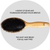 Sam Villa Signature Series Boar Bristle Hair Brush For Hair Styling