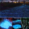 chic style 340pcs Glow in The Dark Garden Pebbles, Gardening Luminous Glow Stones Outdoor Decor Glowing Water Fish Tank Gravel (Blue)