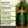 Prime Code NAD+ Liquid Drops with Resveratrol, Vitamin B12 & PQQ – Advanced Cellular Energy & Antioxidant Support – Vegan, Non-GMO, Gluten Free – Fast Absorption Supplement for Men & Women, 2 fl oz