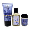 Bath & Body Works Aromatherapy Lavender + Vanilla Sleep Mini Gift Bag Set - Body Cream - Body Wash + Foam Bath and Hand Gel - with a Natural Oats Sample Soap - Travel Size