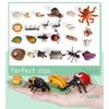 Life Cycle Toys for Kids - Life Science Education Kits: Ladybug, Ants, Goose, Land Turtle, Snail, Octopus - 24 Pieces Animal Models STEM Learning Toys for 3-10 Year Old
