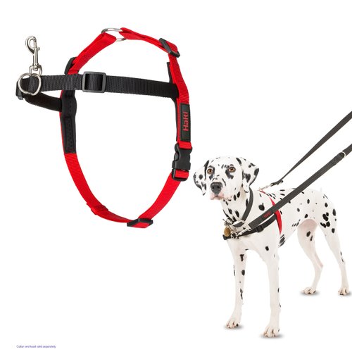 HALTI Front Control Harness - To Stop Your Dog Pulling on the Leash. Adjustable, Lightweight and Easy to Use. Anti-Pull Dog Training Harness for Medium Dogs (Size M)