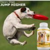 Amazing Omega 3 Fish Oil for Dogs - Omega 3 for Dogs Shedding and Itchy Skin Relief for Dog Dry Skin and Hot Spots, EPA and DHA Fatty Acids, Dog Skin and Coat Supplement - 120 Bacon Flavor Chews